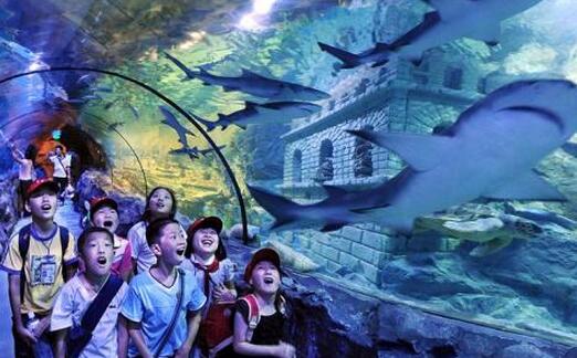 QQ截图20170822135625.jpg