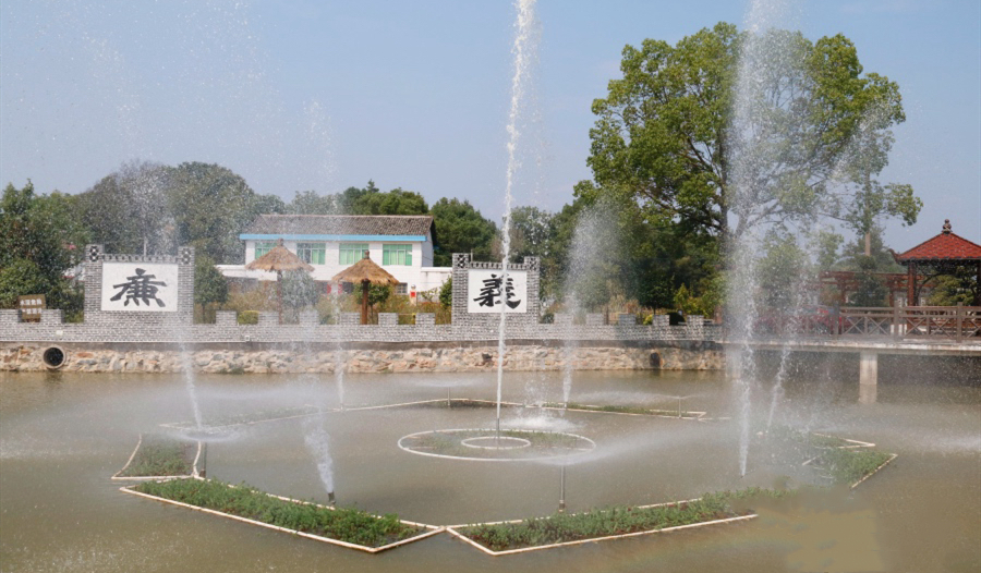 06.jpg