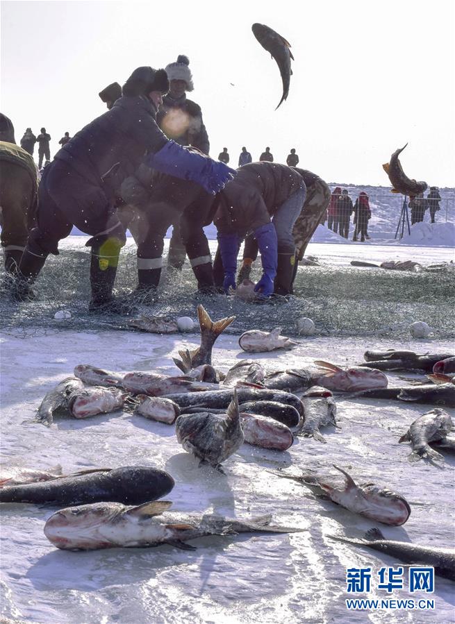 （XHDW·图文互动）（4）冬捕：新疆“戈壁大海”上的冰雪盛宴