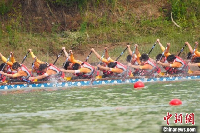 图为代表队成员在奋力挥桨。　中国龙舟公开赛(甘肃·永靖站)组委会供图