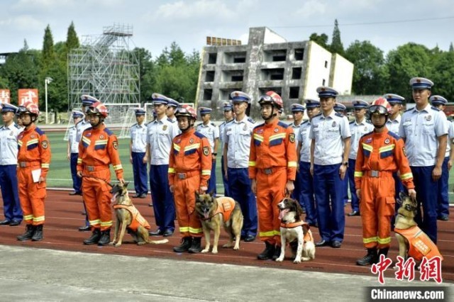 四川成都：4只消防搜救犬退役有了新家