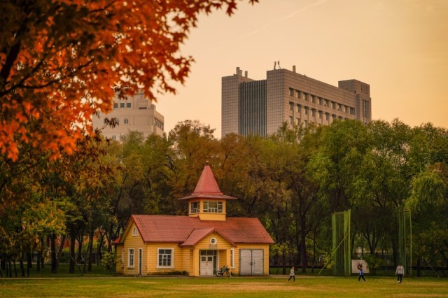 秋日夕阳下的东北林业大学校园。吴一哲摄