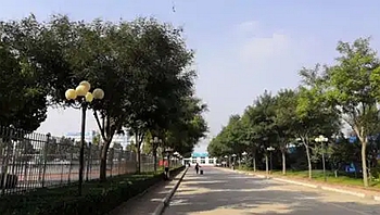 研学游.jpg