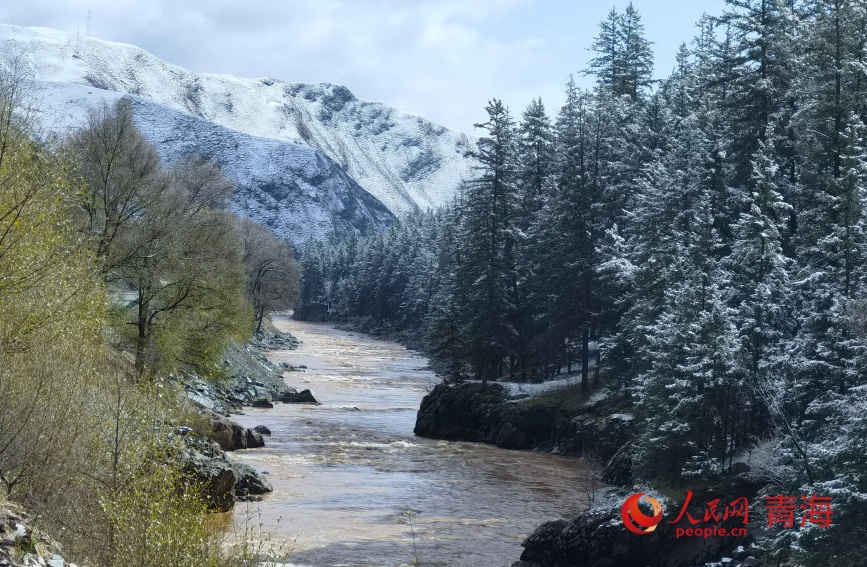 祁连山下秋光。人民网记者 甘海琼摄