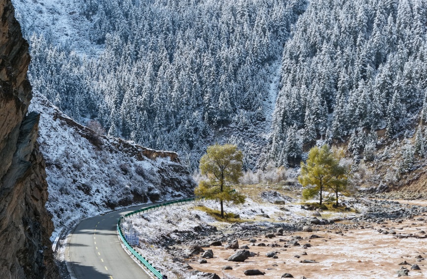 雪后的祁连山秋色。人民网记者 甘海琼摄