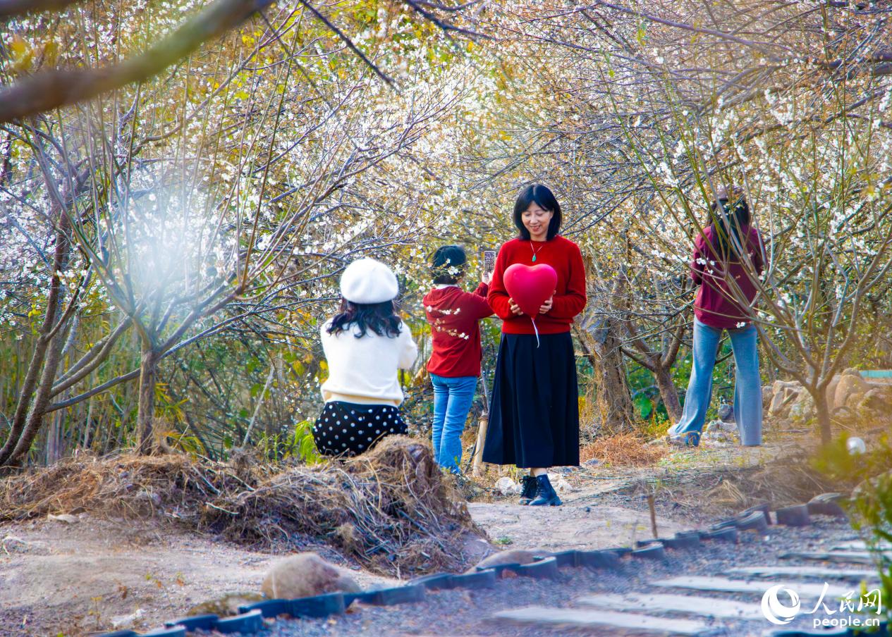 游客在“花海”中“打卡”。人民网 林铭贤摄