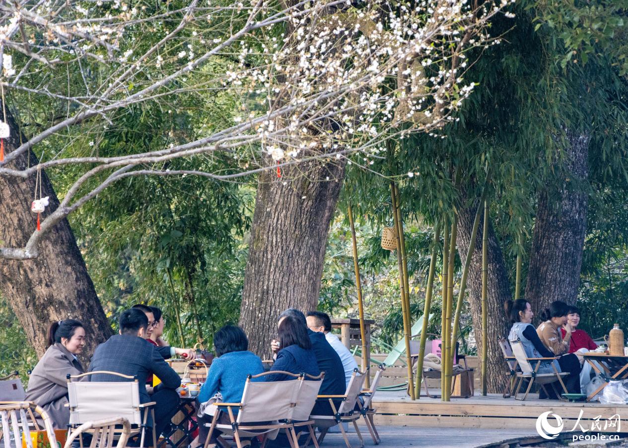 游客在梅花下围炉煮茶。人民网 林铭贤摄