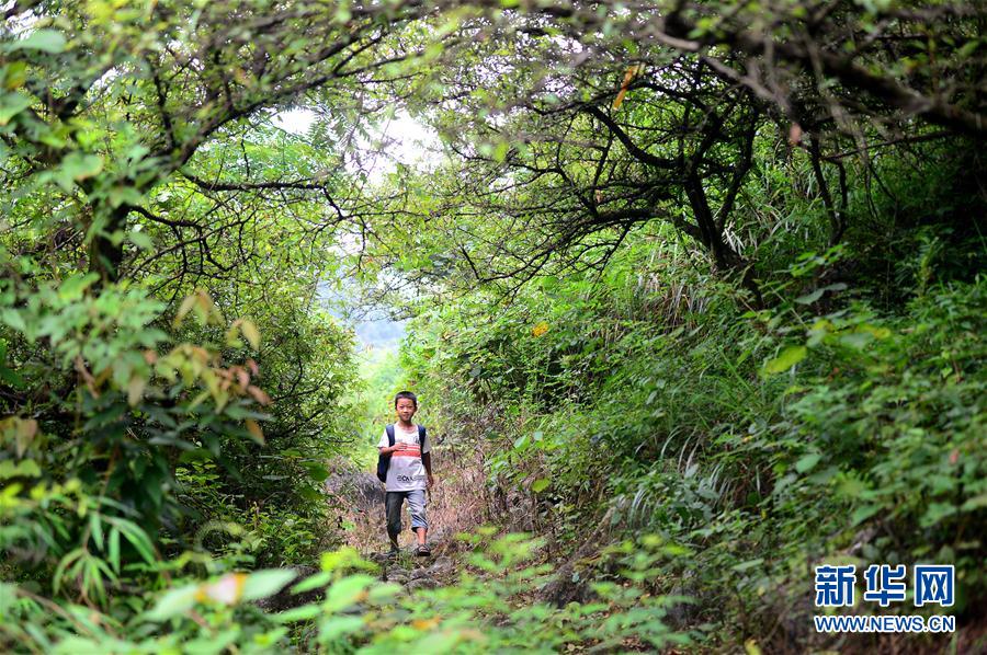 9月4日,在广西柳州市柳城县古砦仫佬族乡大岩垌村,李建文走在上学的