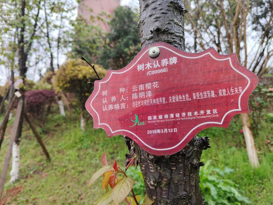 这是位于湖南省湘潭市九华德文化公园内由市民认养的树